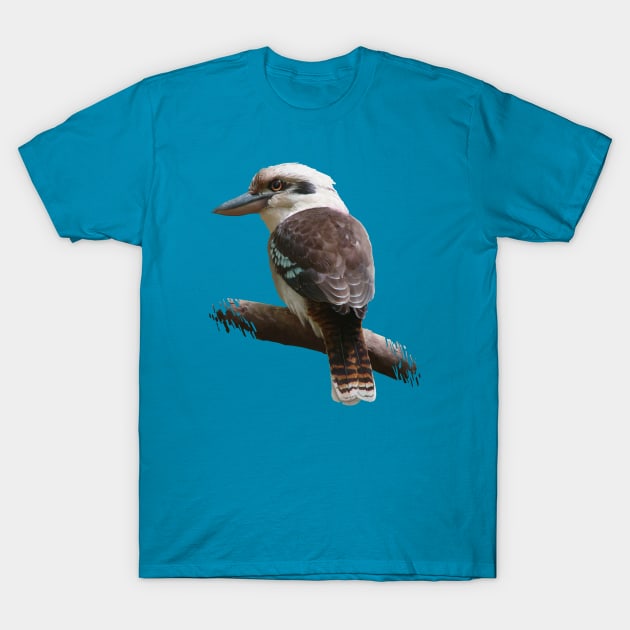 Kookaburra T-Shirt by Daniel Ranger